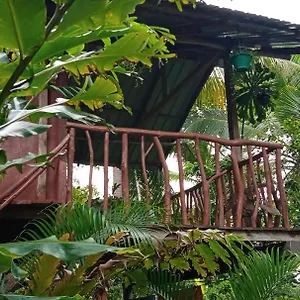 Sigiri Panaromic Tree House Gospodarstwo agroturystyczne Sigirija